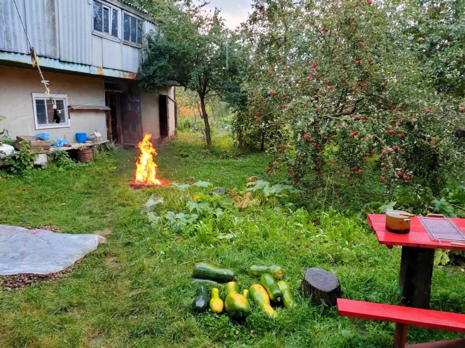 Продам 4 кімнатний будинок у місті Борзна Чернігівської області