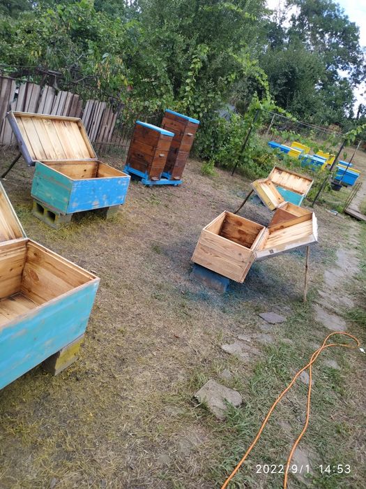 Продам лежаки на 24 рамки