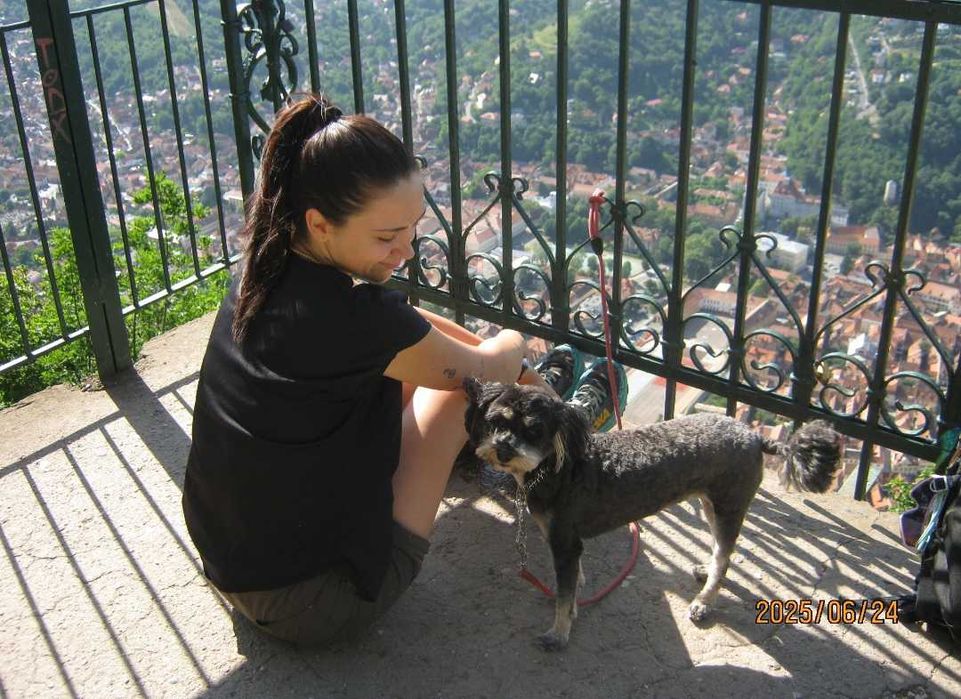 Dog Walking / Passeio de cães în Porto