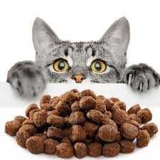 Корм для котів корм для собак