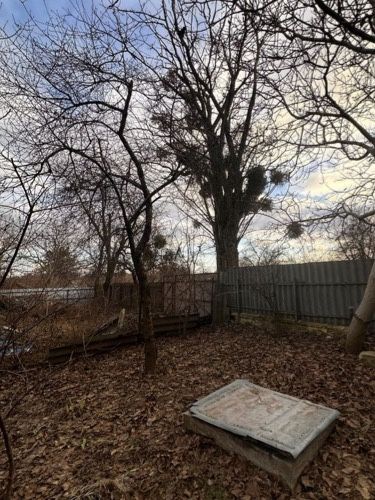 Вивіз сміття будівельного т. д. Покос трави, зрізання дерев. Демонтаж