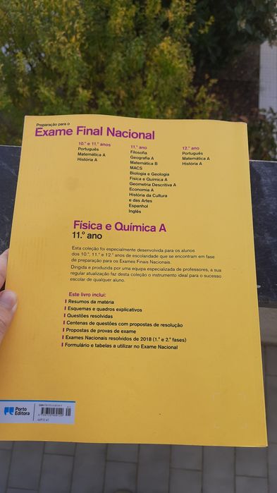 Preparação exame final Física e Química 11