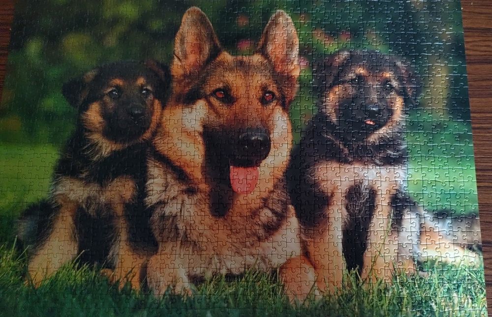 Puzzle 1000 sztPsy.Ravensburger kompletne
