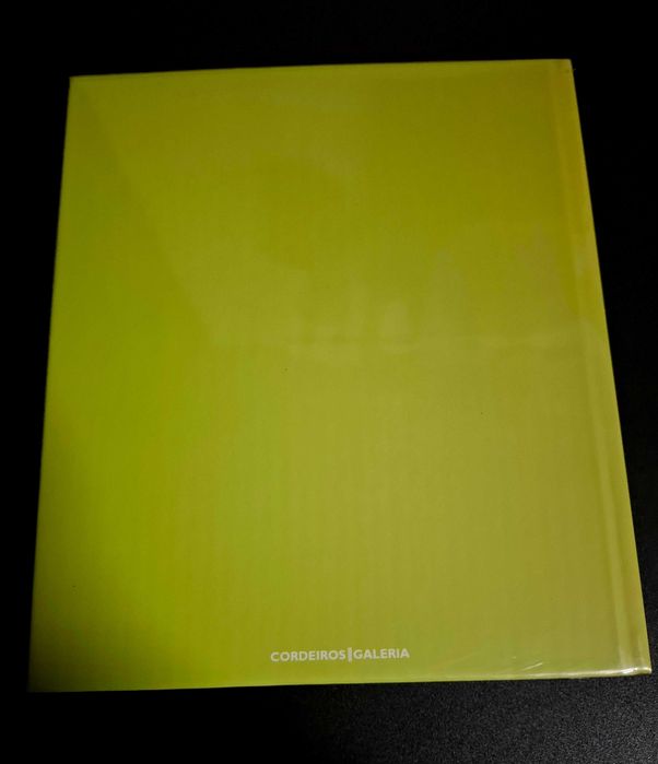 Julio Resende e a Pintura Grande Livro