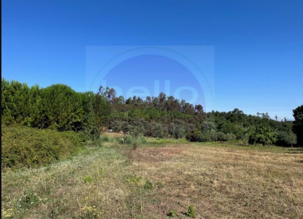 Terreno com vinha e pequeno imovel