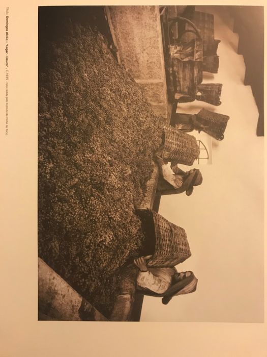 Telas novas, papel de fotografia, quadros famosos e Douro vinhateiro