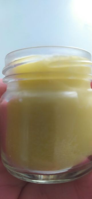 Maść z wrotyczu lecznicza