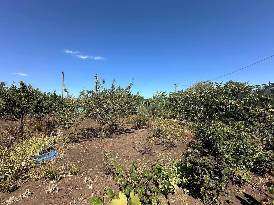 Продажа уютной дачи в Алтестово