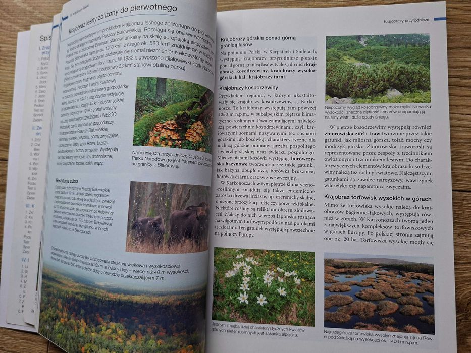 Oblicza geografii 4 zakres rozszerzony