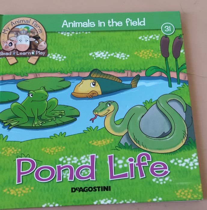 Дитячі книжечки англійською,english book