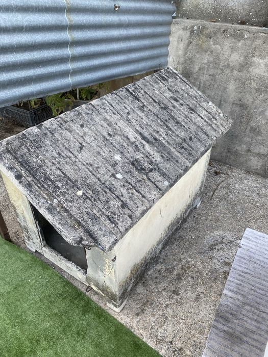 Casota cao pedra porte grande