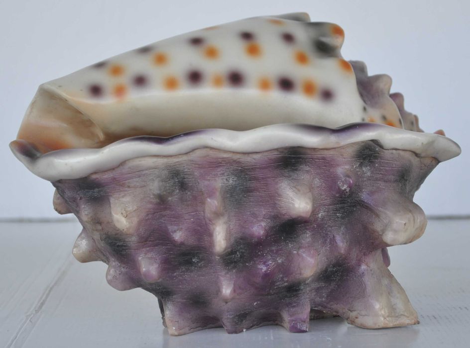 Nawilżacz Powietrza w Kształcie Muszli Generator Pary Powystawowy!