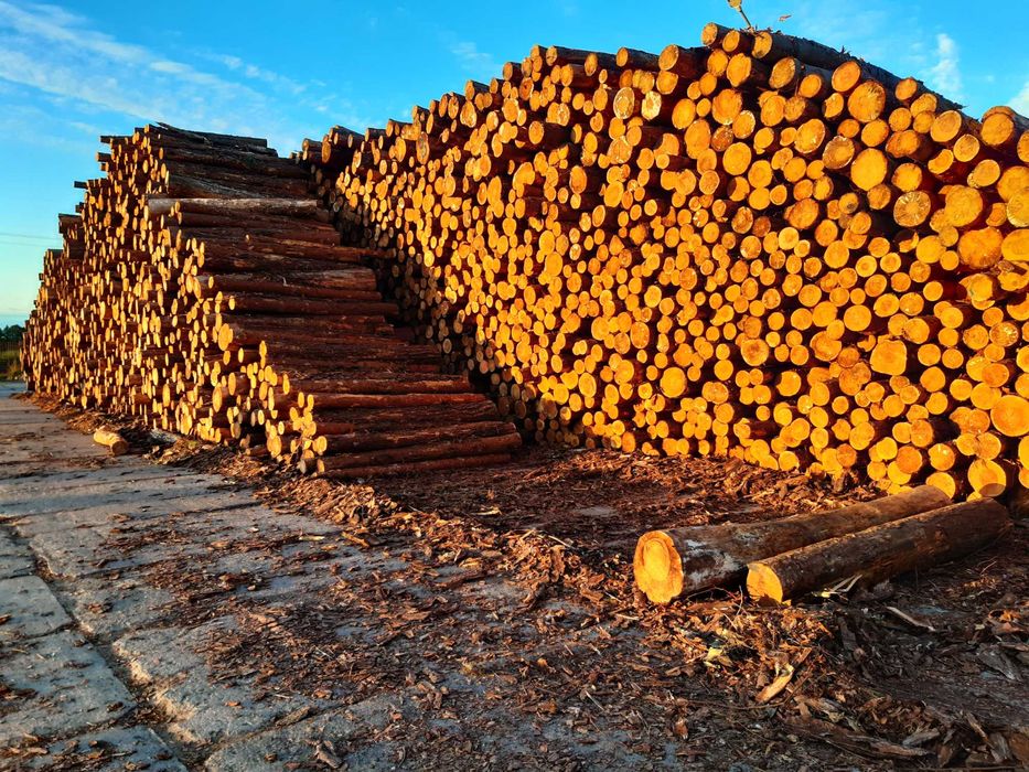 OPAŁ Drewno opałowe wałki z darmowym transportem i rozładunkiem HDS