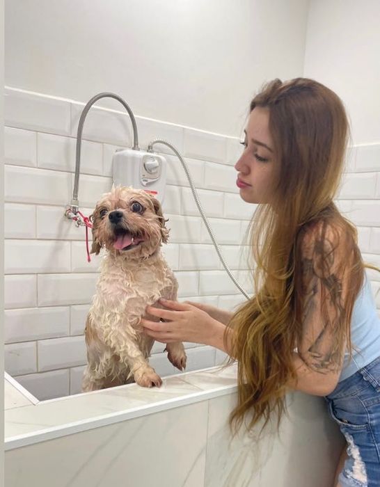 Pet sitting and Dog walking