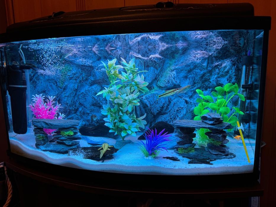 Akwarium 112 l + szafka + pokrywa (jarzeniówki)