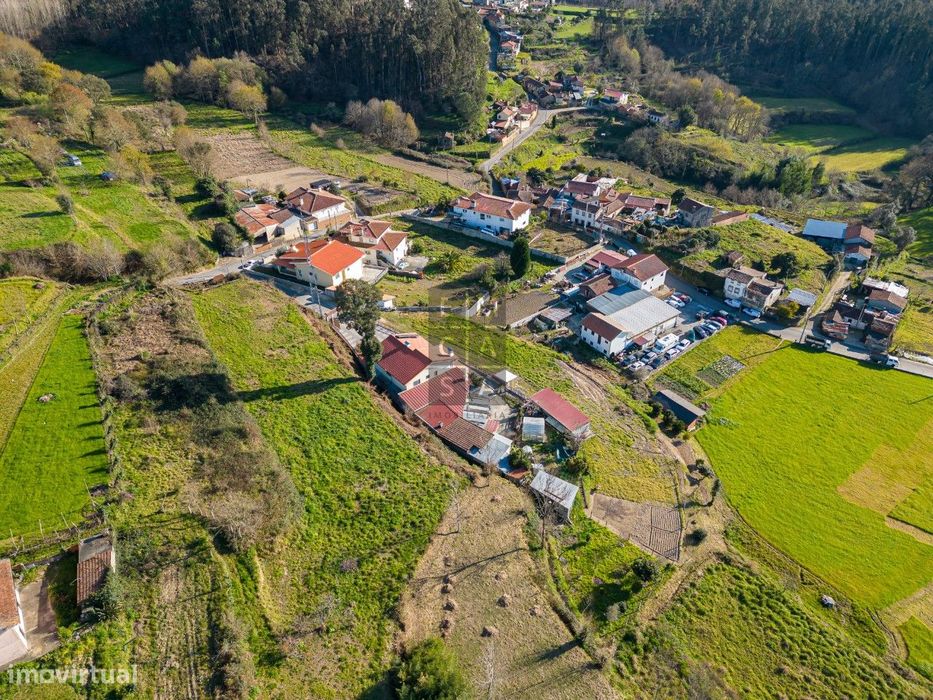 Terreno  Venda em Pinheiro da Bemposta, Travanca e Palmaz,Oliveira de