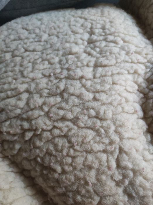 Wełniana kołdra 2 szt., poduszka gratis