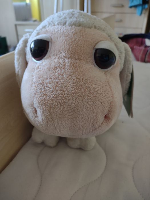 Owieczka Big Headz