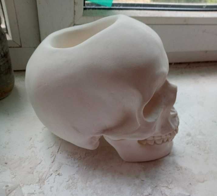 Кашпо, череп человека, человеческий череп, пенал, подставка для ручек