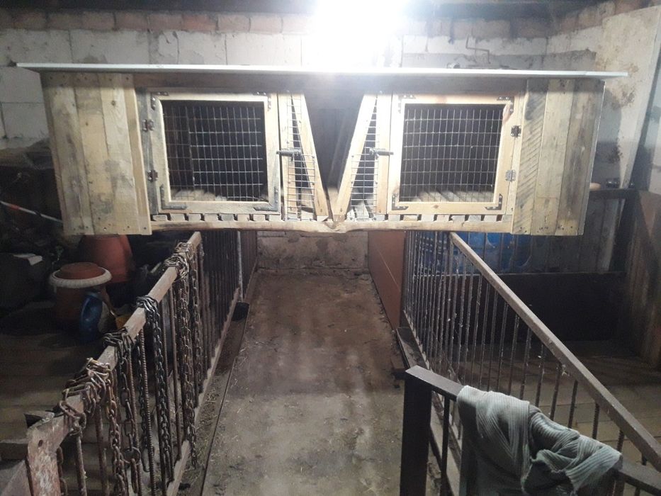 Продам клітку для кролів