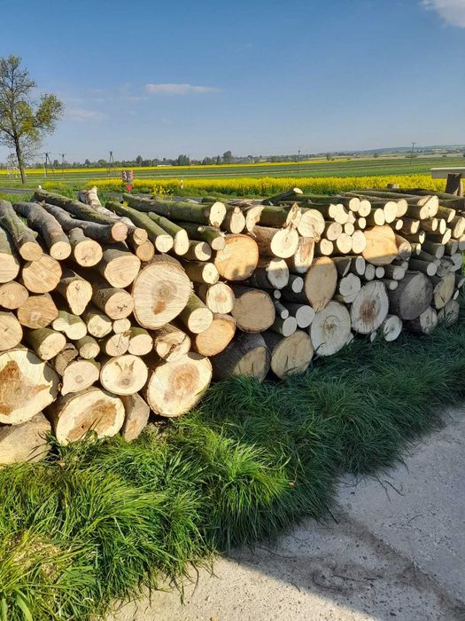 Drewno opałowe stosowe