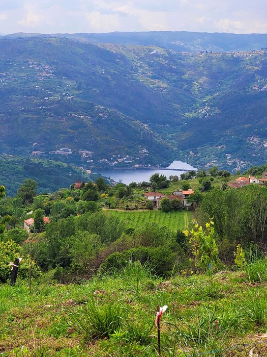 Terreno Douro p/construção-COM projeto aprovado!