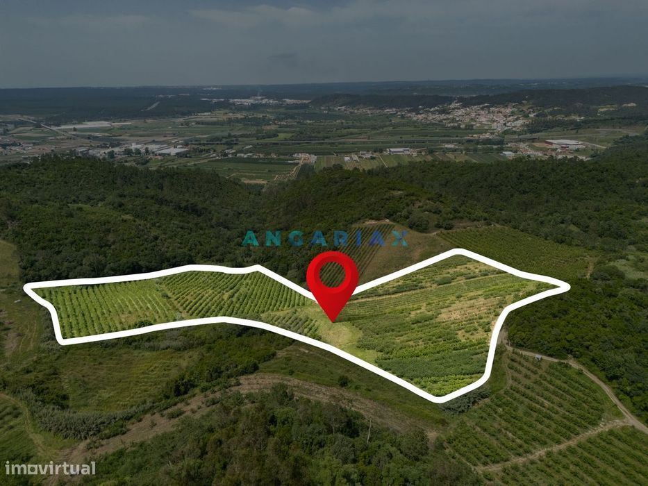 ANG1645 - Land for Sale in Vestiaria, Alcobaça