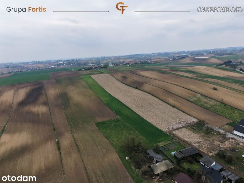 Działka rolna 1,59 ha | Jakubowice, proszowicki - Widok 2