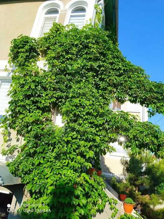 Дом по адресу ул. 21 км. Старокиевской дороги (площадь 120 м²) - Atlanta.ua - фото 3