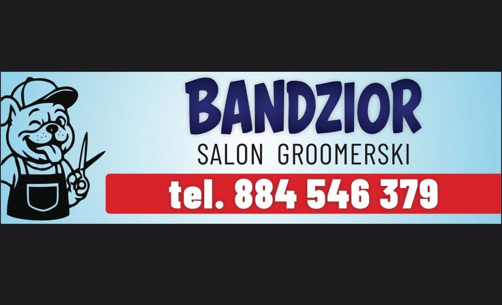 Strzyżenie psów (groomer), psi fryzjer, trymowanie, pielęgnacja.