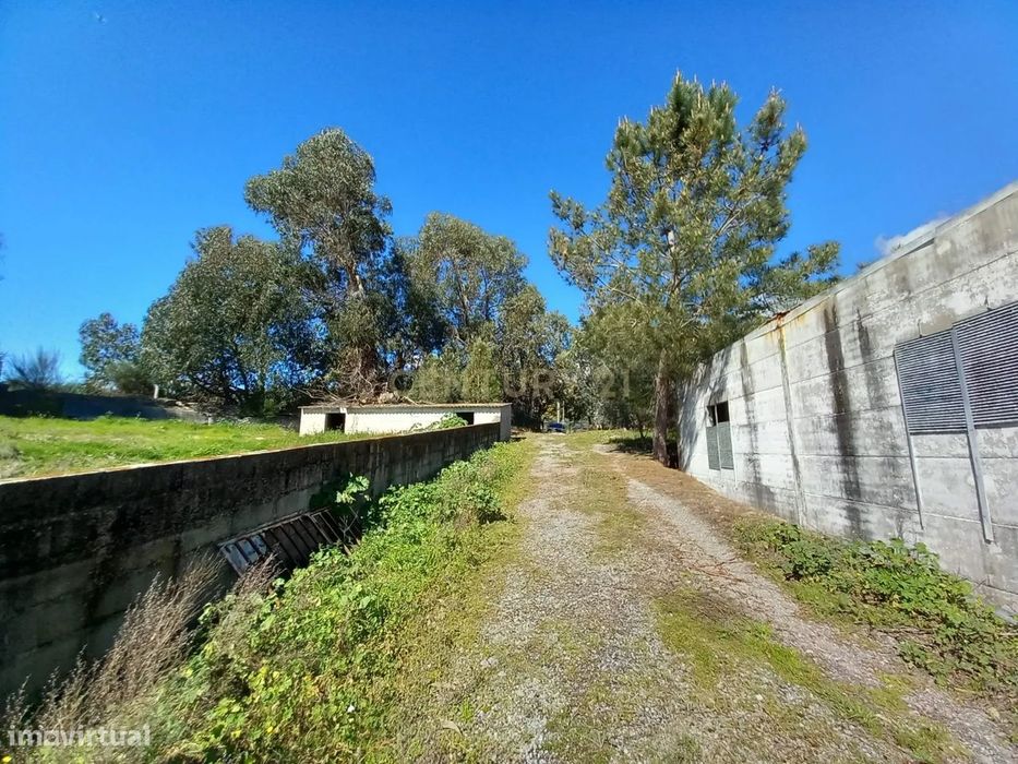 Quinta com 24750m2 Louriçal do campo