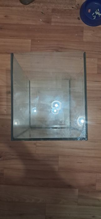 Аквариум-террариум бу