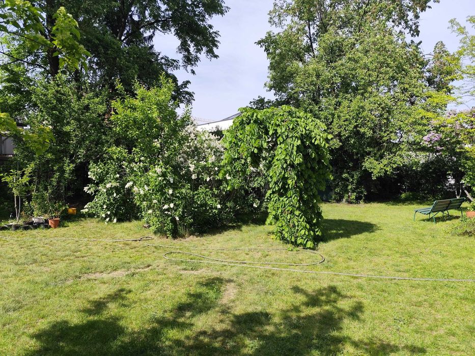 Mieszkanie – Warszawa - Widok 4