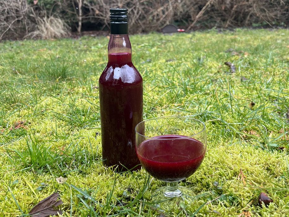 Zakwas z Buraków Czerwonych wyjątkowy 2szt 1400 ml