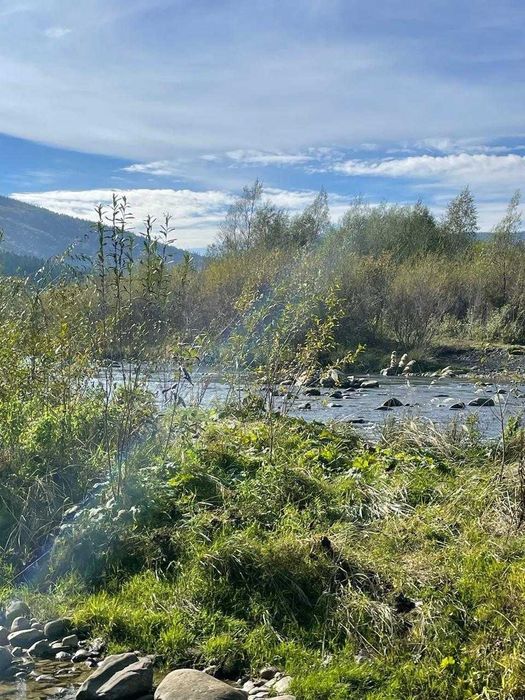 Приватний будинок у Микуличині . Закрита територія . 1 лінія від річки