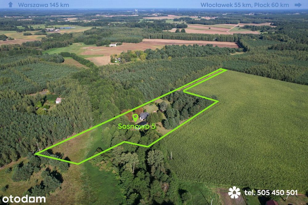 Siedlisko w lesie, działka 0,99 ha, malownicza okolica,cisza,natura