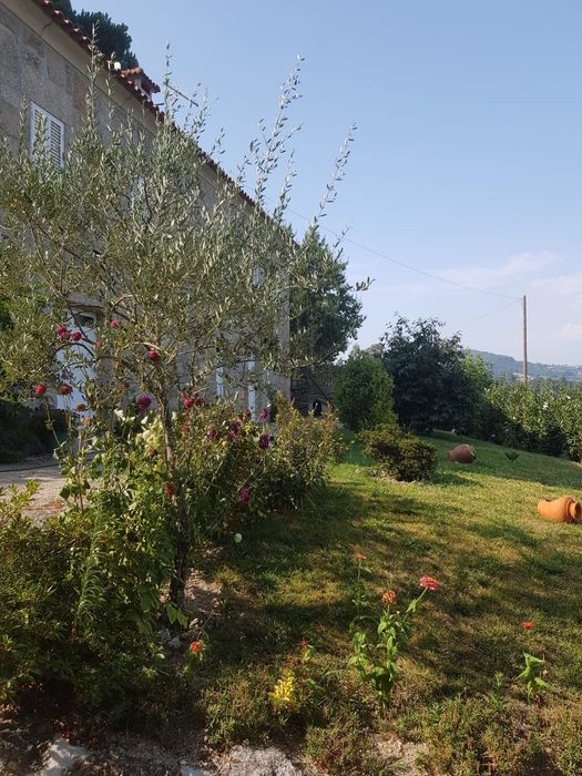 Vende-se quinta T2 com 8.980 m²