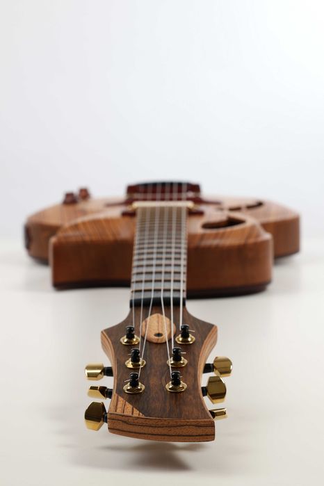 Guitarra archtop