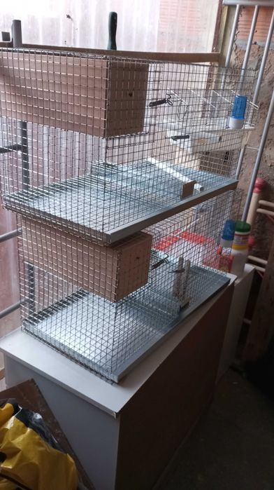 Conjunto de gaiolas de criação