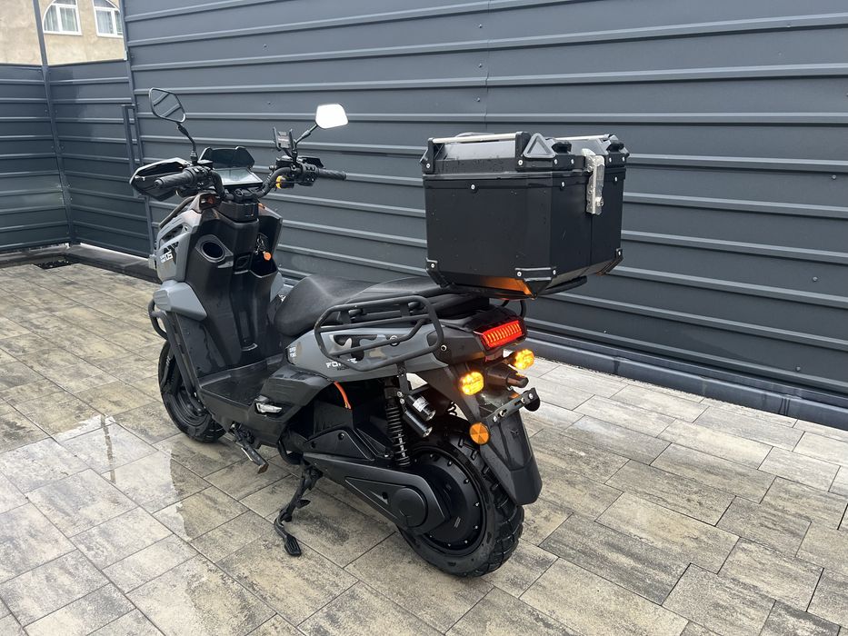 Forte unicorn ev