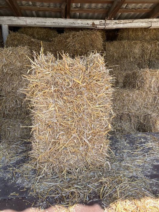 Продам тюки соломи