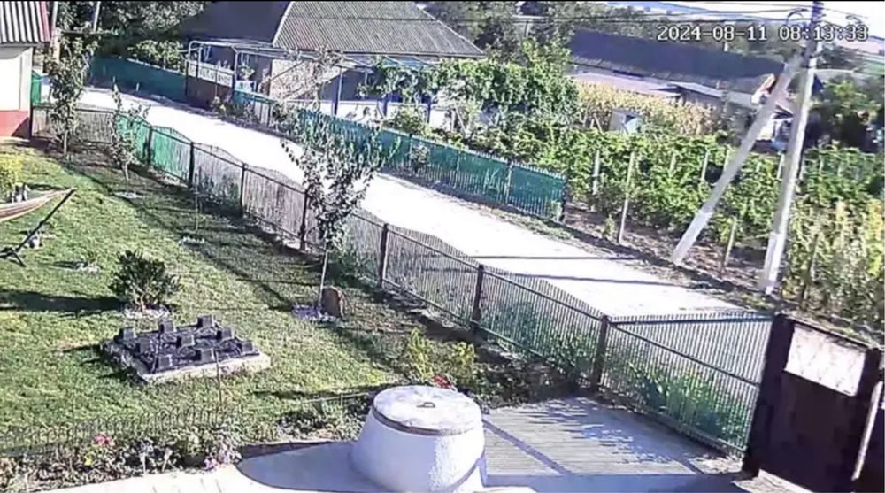 Câmeras Wi-Fi novas - portes grátis