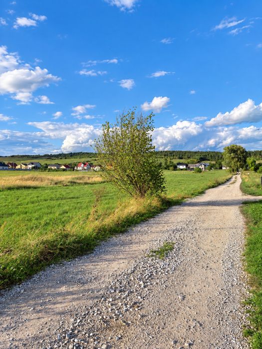 Działka 832 m² z WZ 2026 | Bolmin, gm. Chęciny - Widok 5
