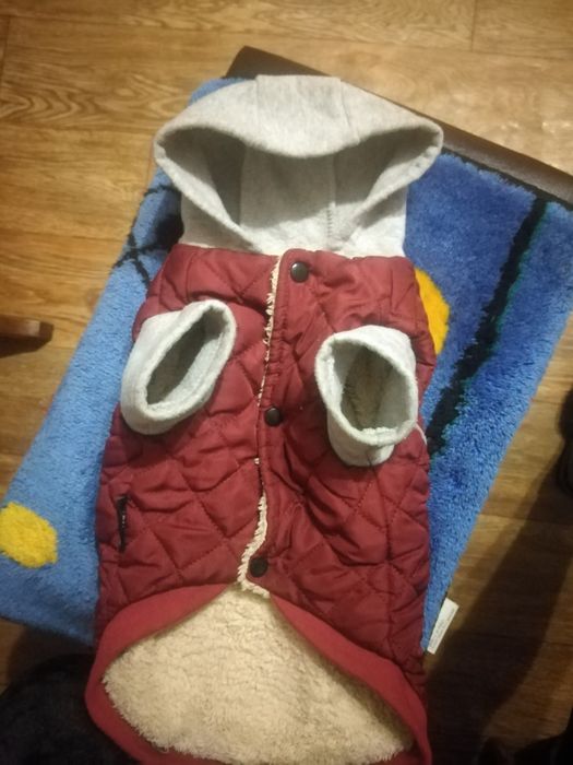 Комбінезон для собак.