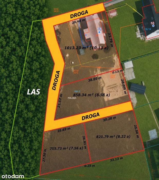 Dom z potencjałem inwestycyjnym |5800 m² działki| Kończyce Małe