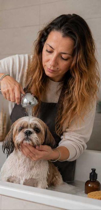 Pet sitting (cães e gatos)