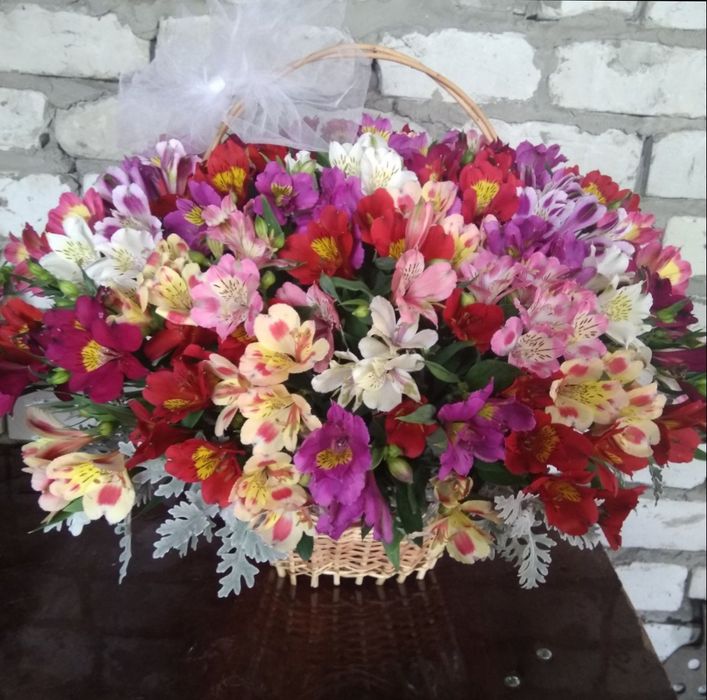 Коріння альстромерії