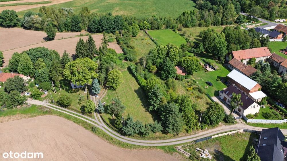 2 działki budowlane na sprzedaż! Żarka nad Nysą! - Widok 3