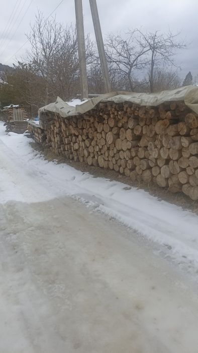 Дрова бук сухі і сирі під камін, котел, печі, дрібний і грубий покол