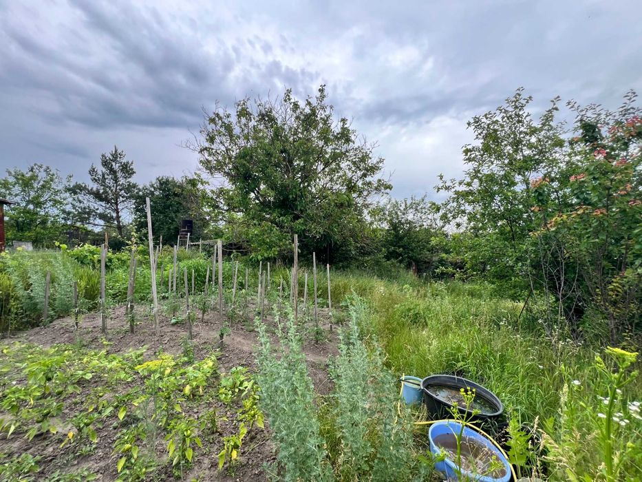 Дачний будинок в Буках